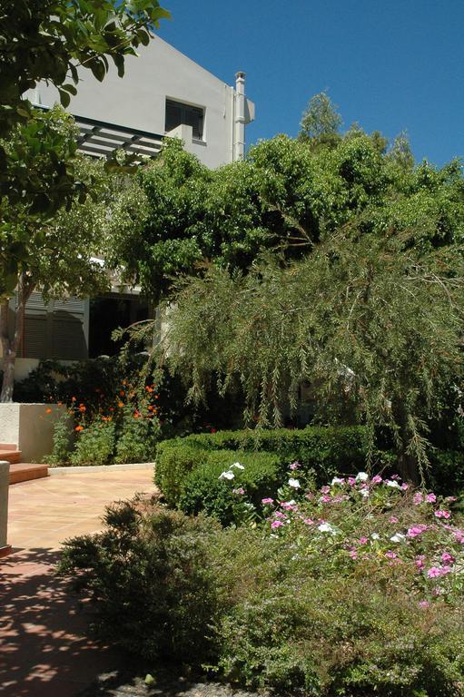 Villa Pefki Chania  Ngoại thất bức ảnh